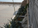 Tn CANNES ANTIBES 213